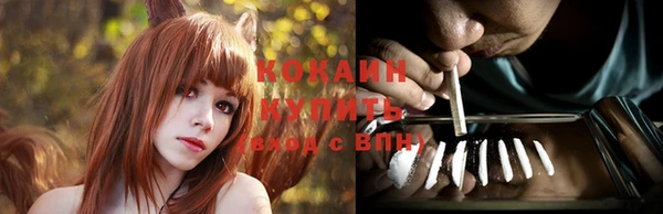 гашик Заволжье